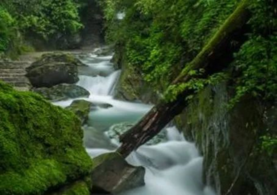 加拿大28开奖预测