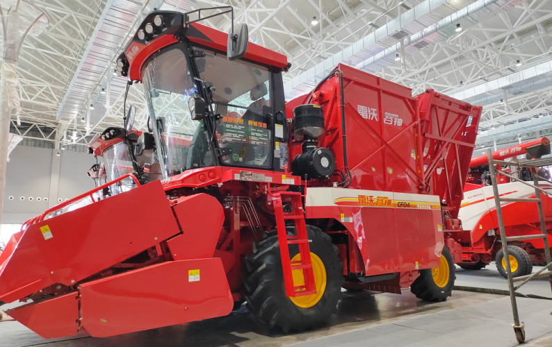 加拿大28开奖预测