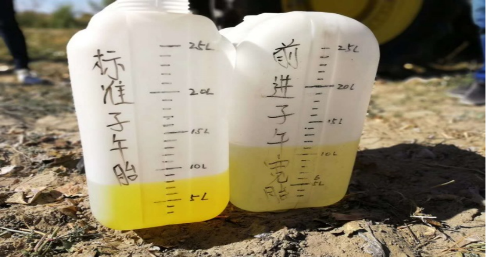 加拿大28开奖预测