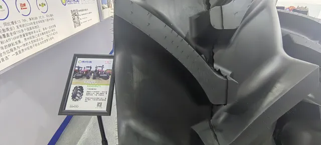 加拿大28开奖预测