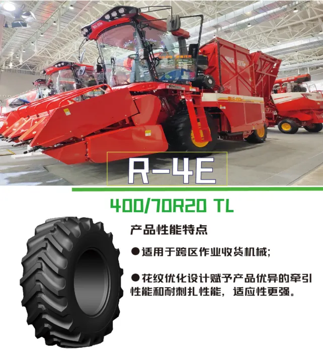 加拿大28开奖预测