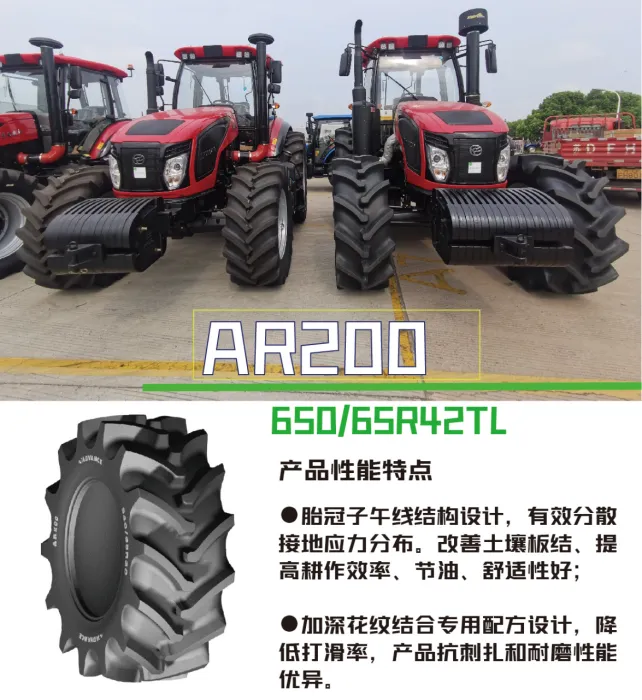 加拿大28开奖预测