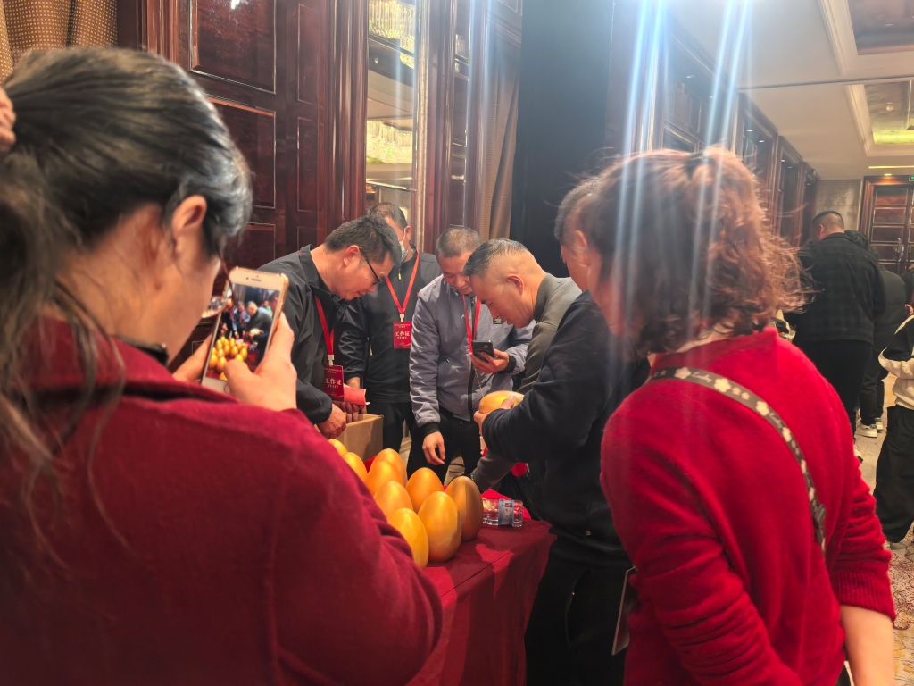 加拿大28开奖预测